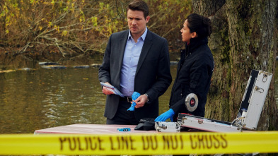 Imagen de Hudson y Rex (T1): Ep.3 Perseguido por el pasado - 5