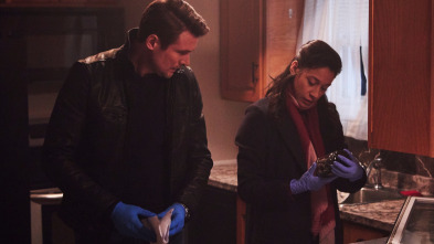 Imagen de Hudson y Rex (T1): Ep.8 Eddie el rápido - 3