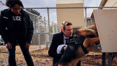 Imagen de Hudson y Rex (T1): Ep.10 El arte de la oscuridad - 2