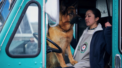Imagen de Hudson y Rex (T1): Ep.6 Asesinato, pensó ella - 2