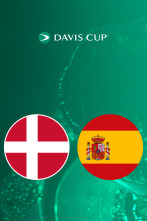 Imagen de Copa Davis Dinamarca - España Partido 2 - 1