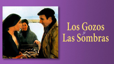 Imagen de Los gozos y las sombras (T1) - 2