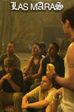 Imagen de Las maras (T1) - 1