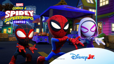 Imagen de Conoce a Spidey y... (T3): Presentamos a Lagarto - 2