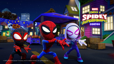 Imagen de Conoce a Spidey y... (T3): Presentamos a Lagarto - 4