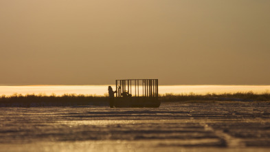 Imagen de Vida bajo cero: Ep.8 - 2