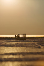 Imagen de Vida bajo cero: Ep.8 - 1