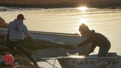 Imagen de Vida bajo cero: Ep.20 - 2