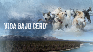 Imagen de Vida bajo cero  - 2