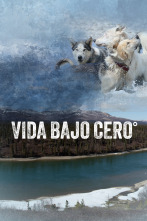 Imagen de Vida bajo cero  - 1
