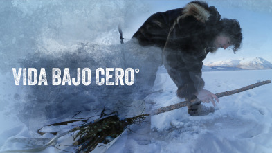 Imagen de Vida bajo cero  - 2