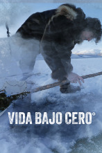 Imagen de Vida bajo cero  - 1