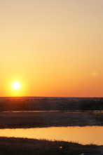 Imagen de Vida bajo cero: Ep.19 - 1