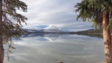 Imagen de Vida bajo cero: Ep.2 - 2