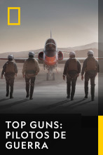 Imagen de Top Guns: Pilotos de guerra  - 1