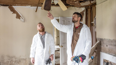 Imagen de Reforma el... (T1): La casa de jazz Marie Antoinette - 2