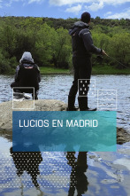 Imagen de Lucios en Madrid - 1