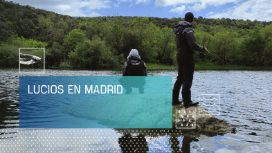 Imagen de Lucios en Madrid - 2