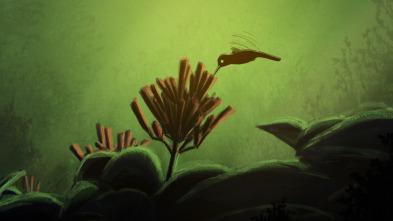 Imagen de La leyenda del colibrí - 3
