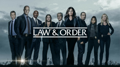 Imagen de Ley y orden: Unidad de víctimas especiales (T24) - 2