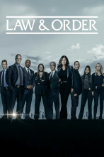 Imagen de Ley y orden: Unidad de víctimas especiales (T24) - 1