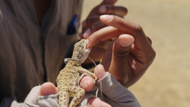 Imagen de La verdad sobre el sudor - 14