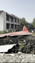 Imagen de ¿Qué falló en el accidente de Air India? - 14