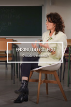 Imagen de Ensino do galego/... (T1): O modelo Semente? - 1