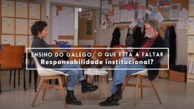 Imagen de Ensino do galego/... (T1): Responsabilidade institucional? - 2