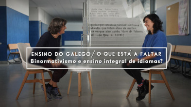 Imagen de Ensino do galego/... (T1): Binormativismo e ensino integral de idiomas? - 2