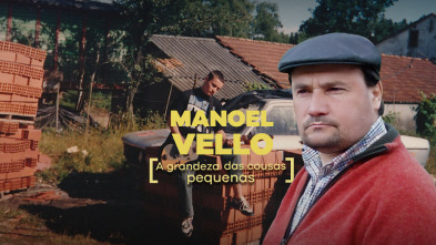 Imagen de Manoel Vello. A grandeza das cousas pequenas - 4