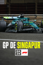 Imagen de Mundial F1 - GP de Singapur (2025) - 2