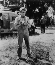 Imagen de James Dean: un icono eterno - 10