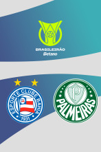Imagen de Jornada 25: Bahía - Palmeiras - 1