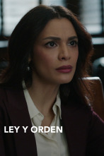 Imagen de Ley y Orden (T3): Ep.4 Consecuencias no deseadas - 1