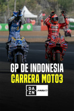 Imagen de MotoGP - GP de... (2025): Carrera Moto3 - 1
