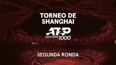 Imagen de 2ª Ronda: Altmaier - Sinner - 2