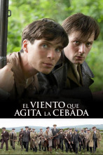 Imagen de El Viento Que Agita La Cebada - 1