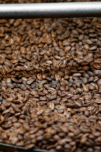 Imagen de Así se hace (T25): Tostadores de café - 1