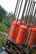 Imagen de Así se hace (T25): Gyotaku - 1