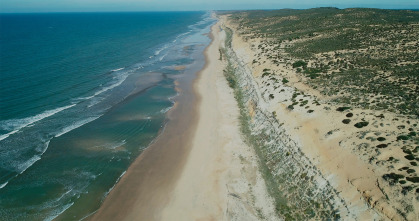 Imagen de Doñana - 6