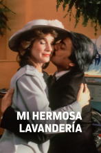 Imagen de Mi hermosa lavandería - 1
