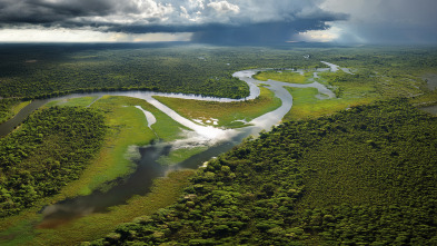 Imagen de El pantanal, dominio de la Onca Pintada I - 3