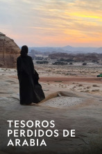 Imagen de Tesoros perdidos de Arabia  - 1