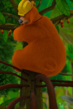 Imagen de Grizzy y los... (T4): Árbol de cacao - 1