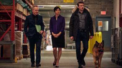 Imagen de Hudson y Rex (T1): Ep.11 El aumento del agua contaminada - 1