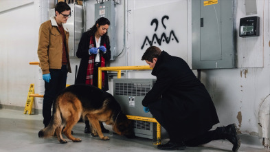 Imagen de Hudson y Rex (T1): Ep.11 El aumento del agua contaminada - 2