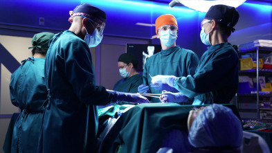Imagen de The Good Doctor (T3): Ep.5 Primer caso y segunda base - 4