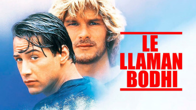 Imagen de Le llaman Bodhi - 2