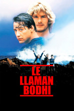 Imagen de Le llaman Bodhi - 1